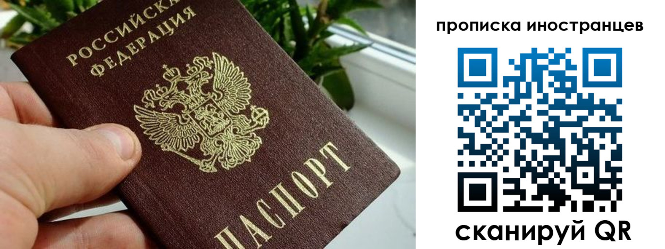 временная регистрация в Александровске-Сахалинском